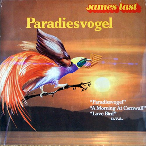 不知火舞❌爆奶水摇舌头图片
